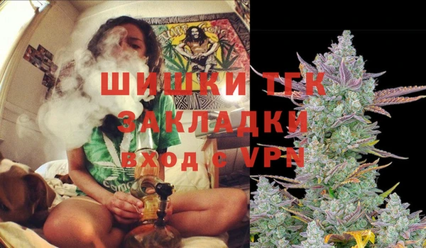 крисы Нея