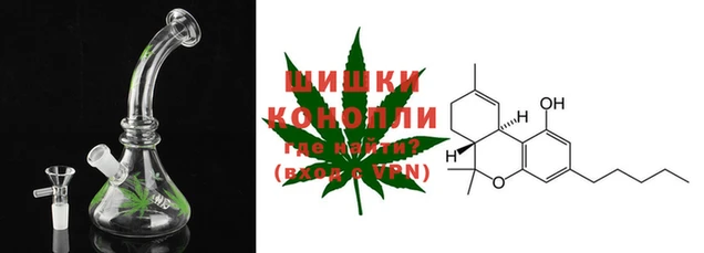 крисы Нея